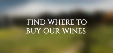 Where to Buy Our Wines